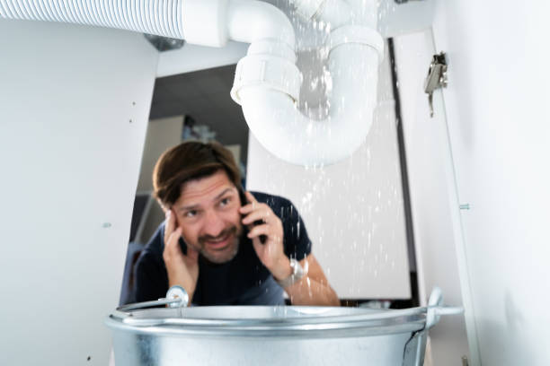 Best Plumbing Services Near Me  in Geneseo, IL