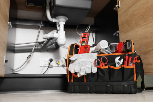 Best Septic Systems  in Geneseo, IL