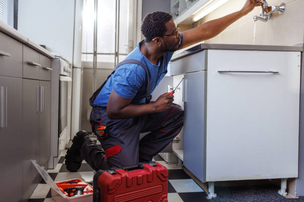 Best Sprinkler Systems  in Geneseo, IL
